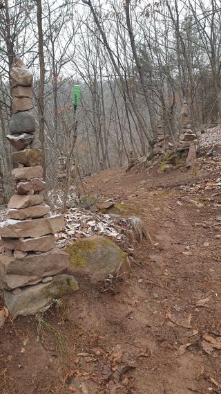세미골곶감님의 감 · 자유게시판 작성글 사진
