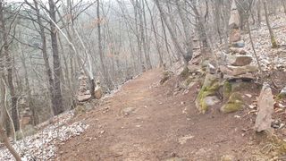 세미골곶감님의 감 · 자유게시판 작성글 사진