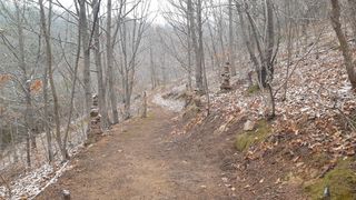 세미골곶감님의 감 · 자유게시판 작성글 사진