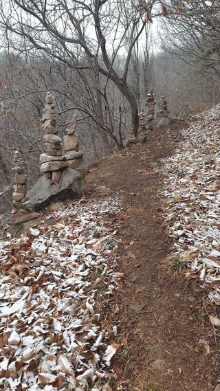 세미골곶감님의 감 · 자유게시판 작성글 사진