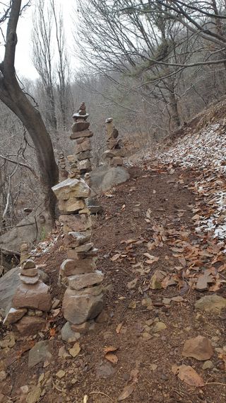 세미골곶감님의 감 · 자유게시판 작성글 사진