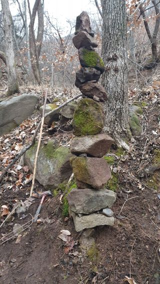 세미골곶감님의 감 · 자유게시판 작성글 사진