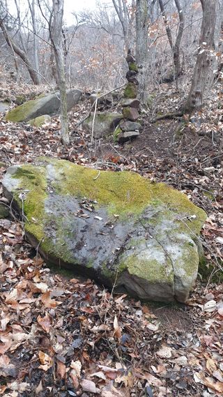 세미골곶감님의 감 · 자유게시판 작성글 사진