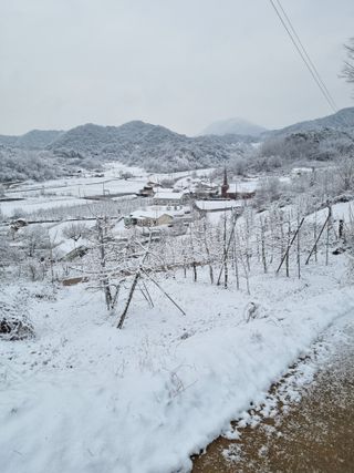 풍요님의 사과 · 일상 작성글 사진