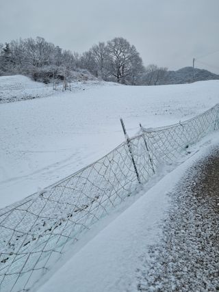 풍요님의 사과 · 일상 작성글 사진