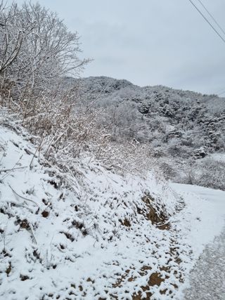풍요님의 사과 · 일상 작성글 사진