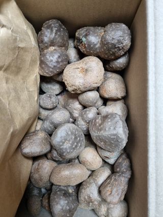 이문규님의 작성글 사진