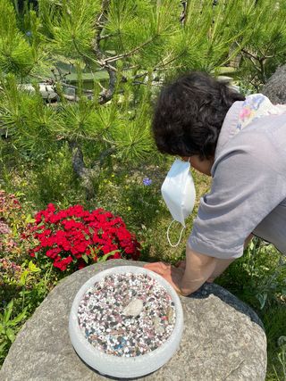 권영미님의 팜모닝 · 출석 작성글 사진