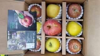 사과20730님의 자유주제 · 건의해요 작성글 사진