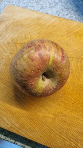 사과20730님의 자유주제 · 건의해요 작성글 사진