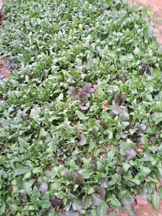 최한기님의 팜모닝공식 · 광고승인요청 작성글 사진