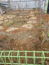 팜모닝 요즘 우리동네 농작업은?·참여글 게시글 이미지