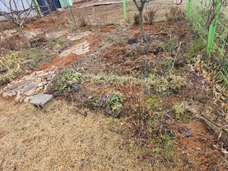 감자20359님의 요즘 우리동네 농작업은? · 참여글 작성글 사진