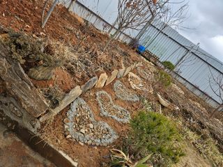 감자20359님의 요즘 우리동네 농작업은? · 참여글 작성글 사진