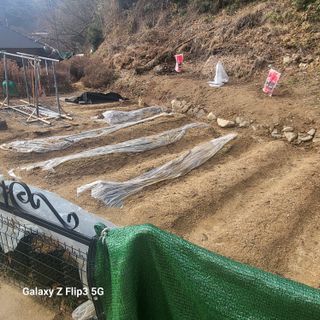 짱순이연속8월출석왕님의 요즘 우리동네 농작업은? · 참여글 작성글 사진