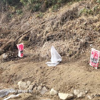 짱순이연속8월출석왕님의 요즘 우리동네 농작업은? · 참여글 작성글 사진