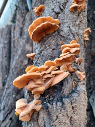 유영옥님의 자유주제 · 자유게시판 작성글 사진