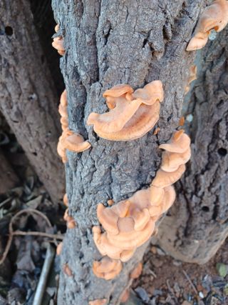 유영옥님의 자유주제 · 자유게시판 작성글 사진