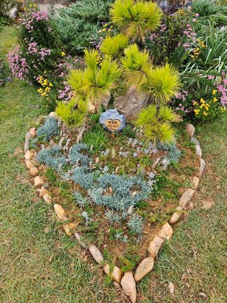 감자20359님의 요즘 우리동네 농작업은? · 참여글 작성글 사진