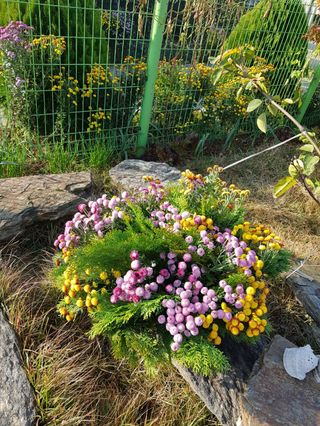 감자20359님의 요즘 우리동네 농작업은? · 참여글 작성글 사진