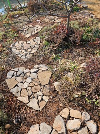 감자20359님의 요즘 우리동네 농작업은? · 참여글 작성글 사진