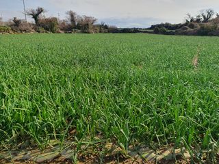 이성일님의 2월 내 작물 자랑하기 · 참여글 작성글 사진