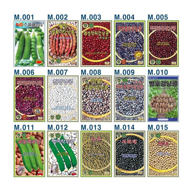 장터 상품 [콩씨앗모음 ] 썸네일