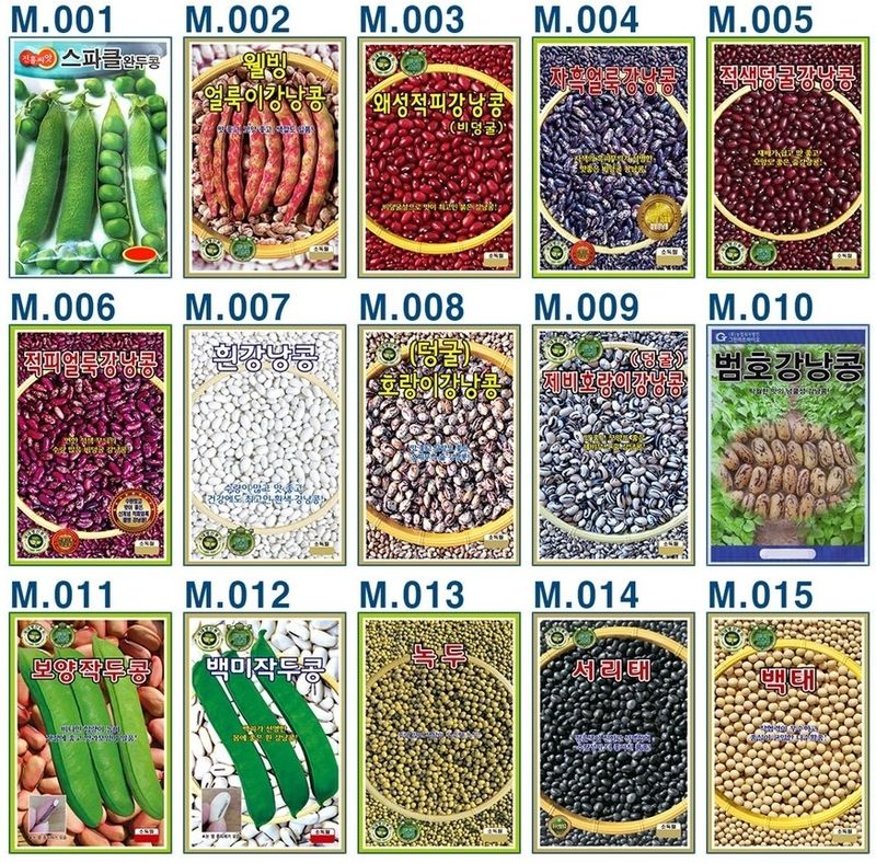 안산제일농약사님의 장터 판매 상품 [콩씨앗모음 ] 첨부 사진