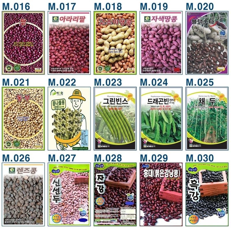 안산제일농약사님의 장터 판매 상품 [콩씨앗모음 ] 첨부 사진