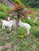 팜모닝 자유주제·사진전 게시글 이미지