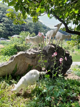 공주카페무릉농원님의 자유주제 · 사진전 작성글 사진