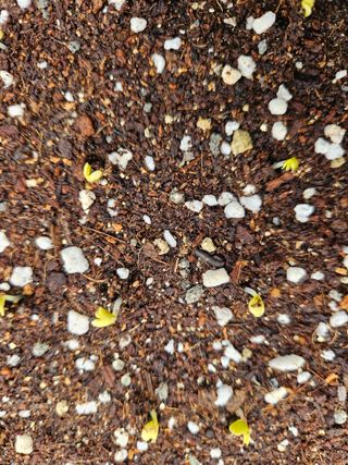 제천청강님의 기타작물 · 자유게시판 작성글 사진