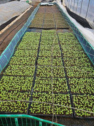 제천청강님의 기타작물 · 자유게시판 작성글 사진