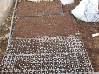 노경자님의 요즘 우리동네 농작업은? · 참여글 작성글 사진