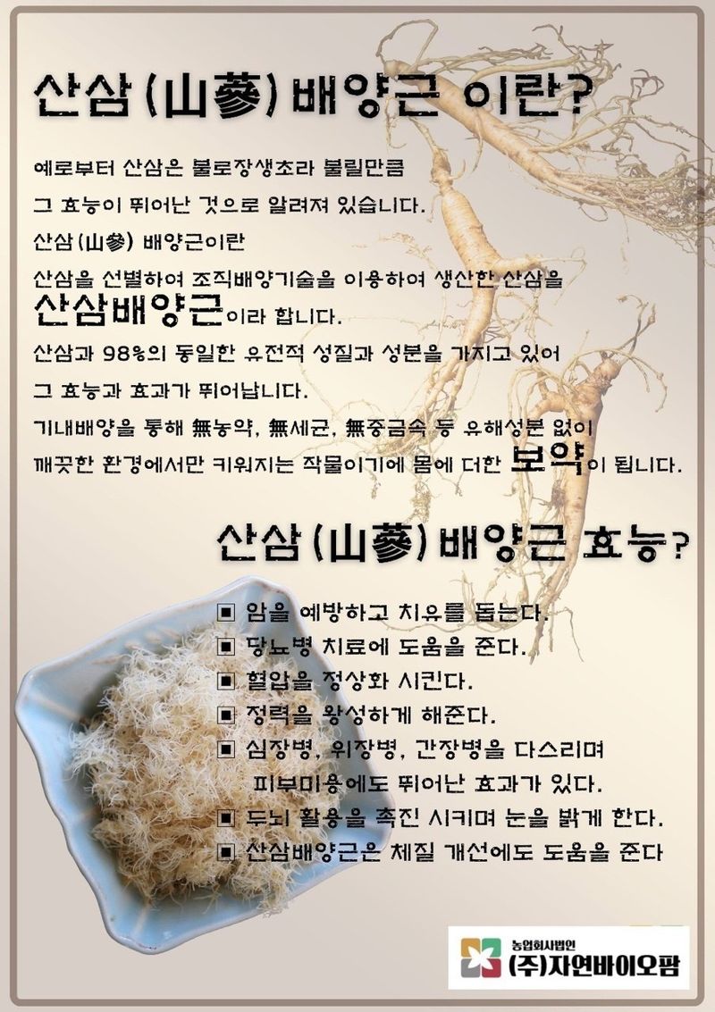 오상일님의 장터 판매 상품 [산삼배양근 생채 500그램] 첨부 사진