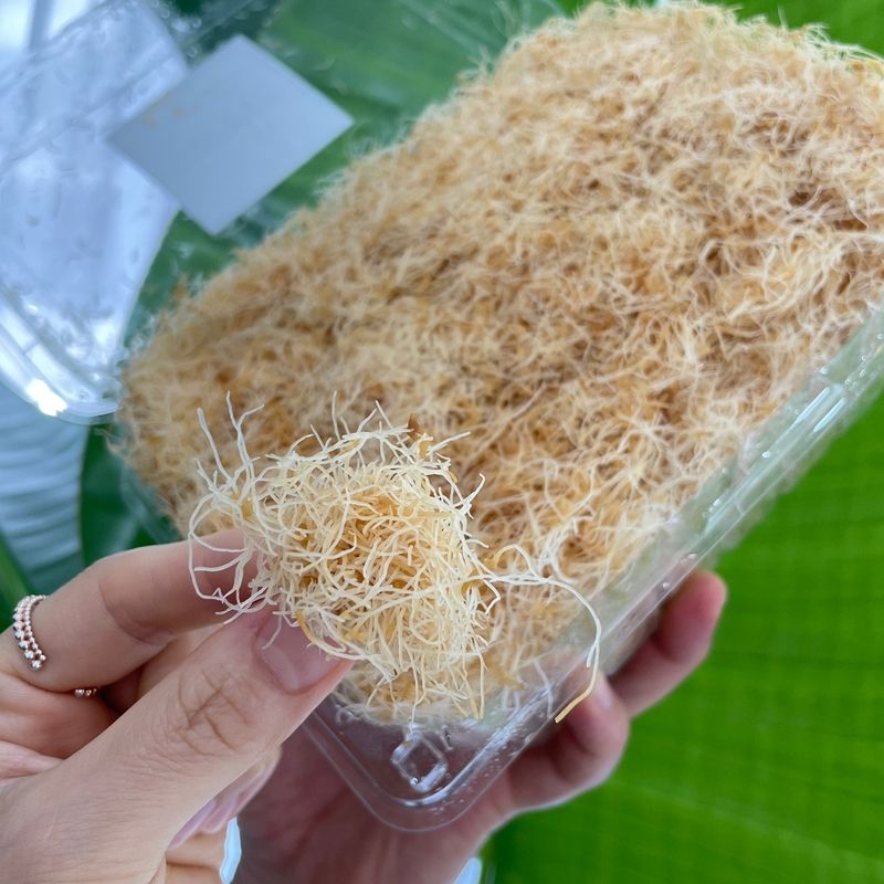 오상일님의 장터 판매 상품 [산삼배양근 생채 500그램] 첨부 사진