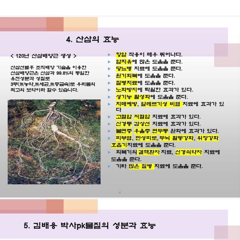 오상일님의 장터 판매 상품 [산삼배양근 생채 500그램] 첨부 사진