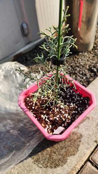 연지골농원_단야님의 자유주제 · 자유게시판 작성글 사진