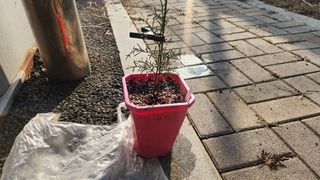 연지골농원_단야님의 자유주제 · 자유게시판 작성글 사진