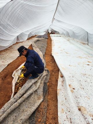 최승일님의 요즘 우리동네 농작업은? · 참여글 작성글 사진