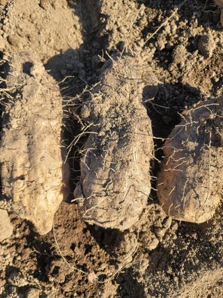 둥근마지기님의 선도농가에 선정된 소감은? · 참여글 작성글 사진