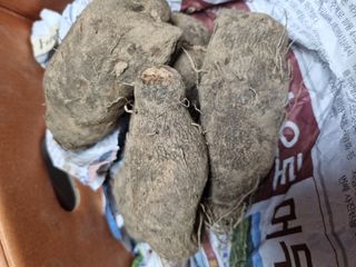 이문규님의 작성글 사진