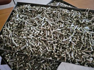 내츄럴팜 채명심님의 자유주제 · 자유게시판 작성글 사진