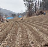 팜모닝 들깨·자유게시판 게시글 이미지