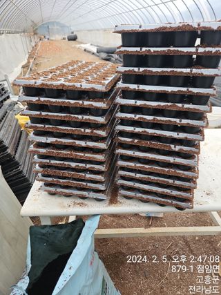 양태문님의 요즘 우리동네 농작업은? · 참여글 작성글 사진