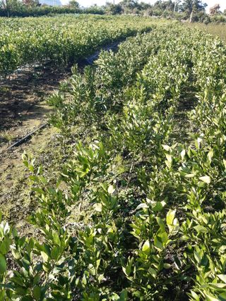 참깨8508님의 작성글 사진