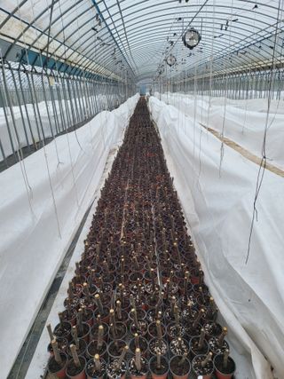 오아성님의 요즘 우리동네 농작업은? · 참여글 작성글 사진