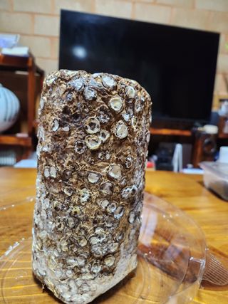 그린애농장님의 자유주제 · 자유게시판 작성글 사진