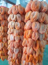 팜모닝 설날, 어떻게 보내시나요?·참여글 게시글 이미지