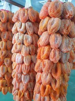 권영동 님의 설날, 어떻게 보내시나요? · 참여글 작성글 사진